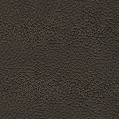 Belziani Sofa Sleeper