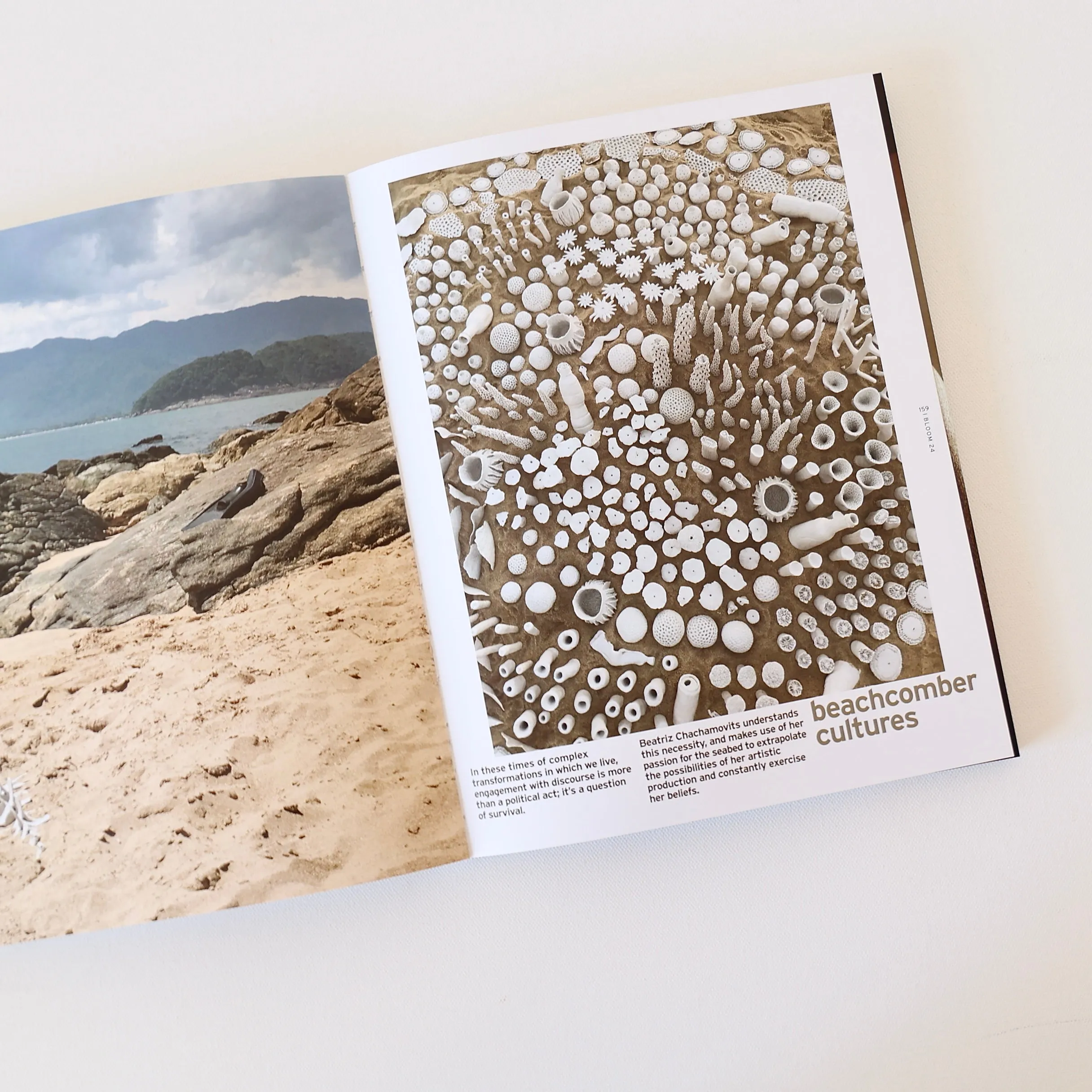 Bloom, Earth Matters - Issue 24