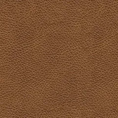 Carianna Sofa and Loveseat