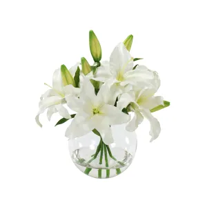 Casablanca Lilies