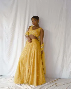 Chulbulli (Yellow)- Rental