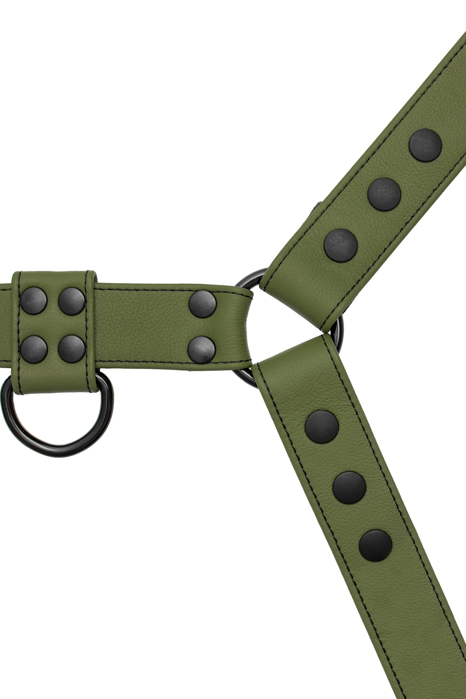 CLASSIC BULLDOG - Full Colour