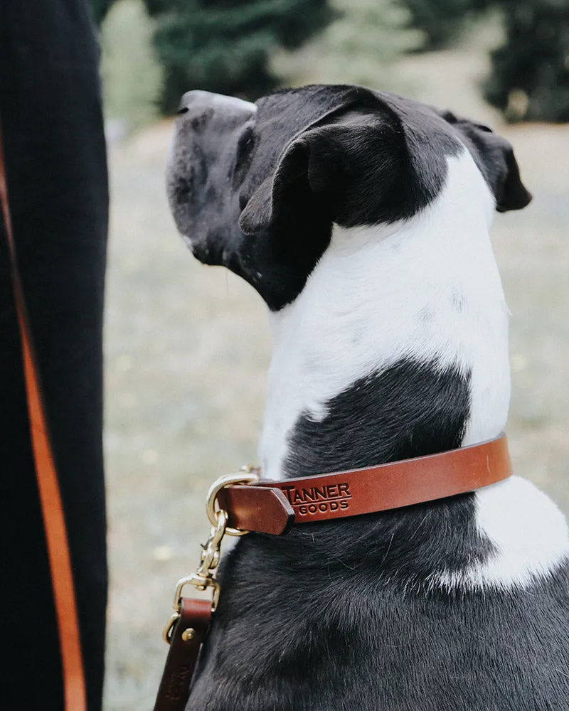 Classic Canine Collar - Saddle Tan