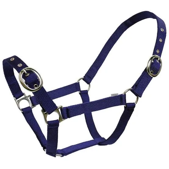Classic Web Halter
