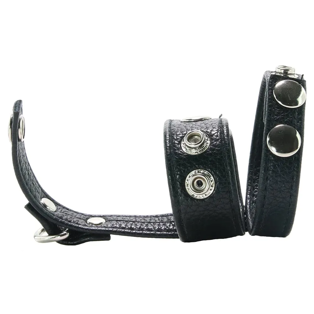 Electric Eel Cock Ring with 1" Ball Stretcher