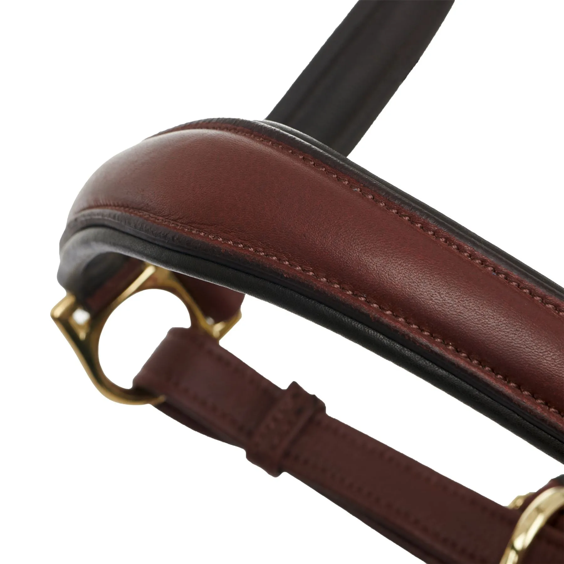 LeMieux Anatomic Headcollar