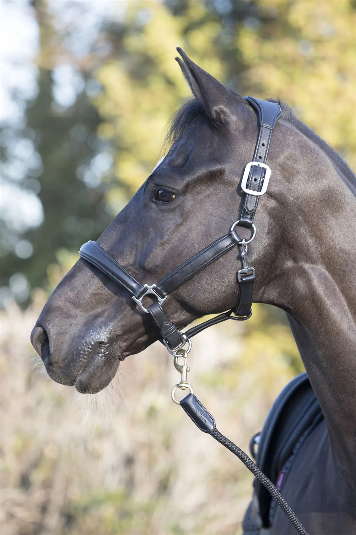 LeMieux Anatomic Headcollar