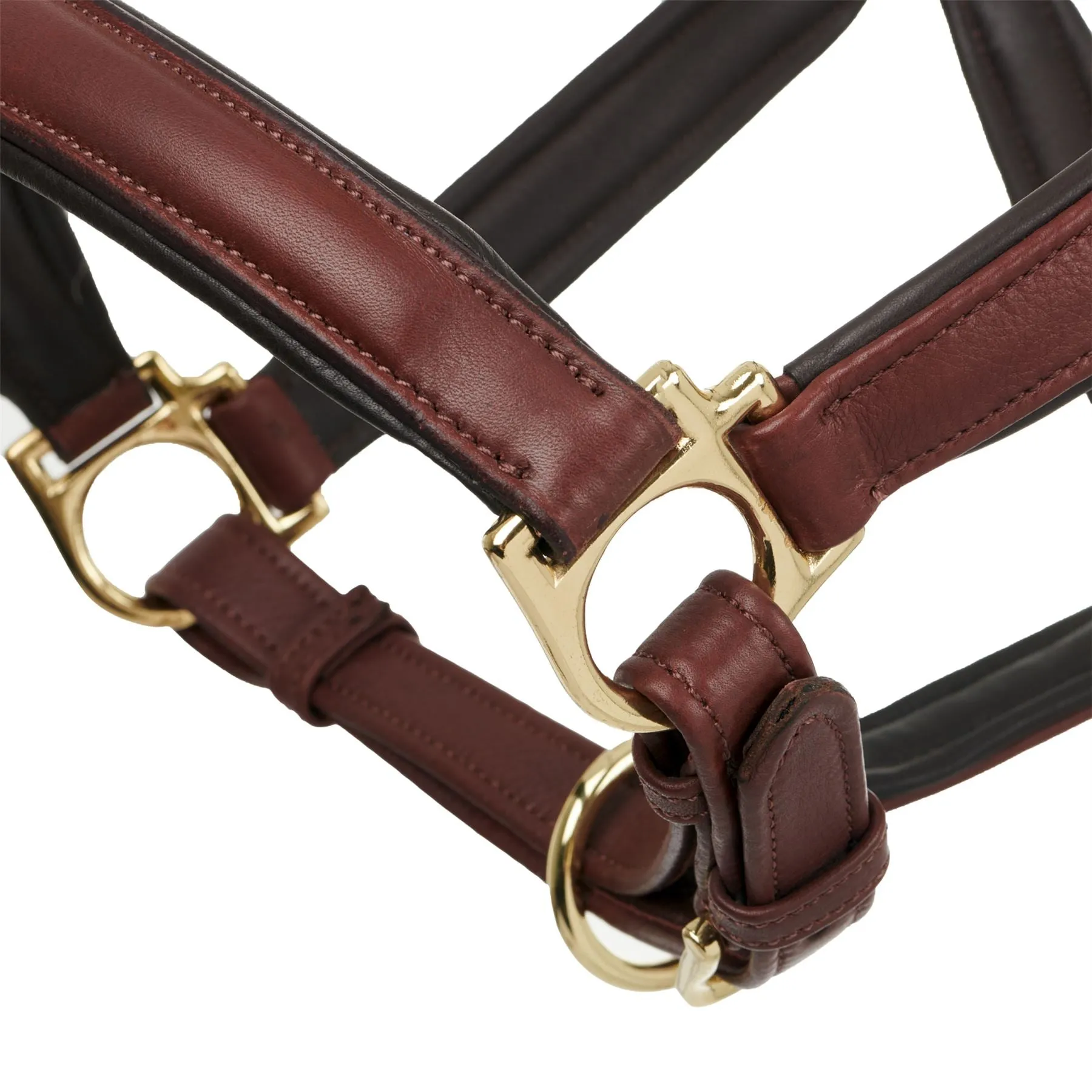 LeMieux Anatomic Headcollar