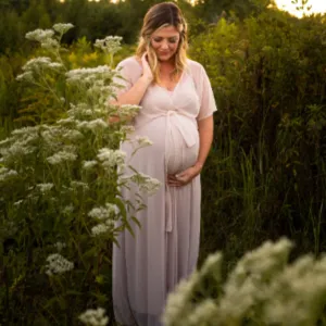 Maternity Chiffon Mesh Dress #1027