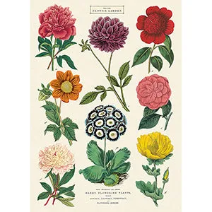 Vintage Floral & Botanical Posters