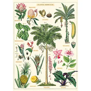 Vintage Floral & Botanical Posters
