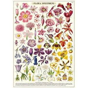 Vintage Floral & Botanical Posters