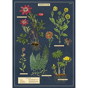 Vintage Floral & Botanical Posters