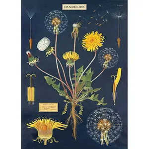 Vintage Floral & Botanical Posters