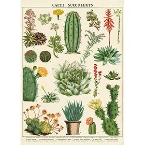 Vintage Floral & Botanical Posters