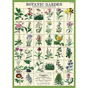 Vintage Floral & Botanical Posters