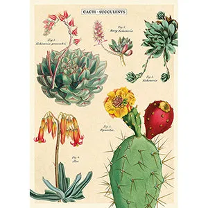 Vintage Floral & Botanical Posters