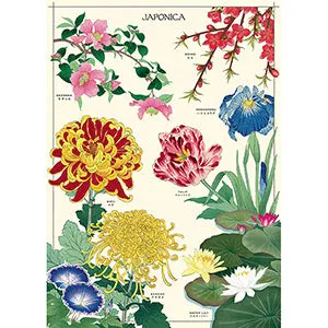 Vintage Floral & Botanical Posters