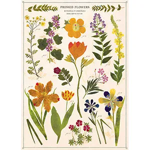 Vintage Floral & Botanical Posters
