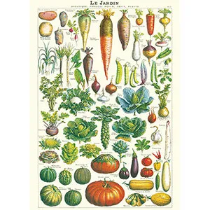Vintage Floral & Botanical Posters