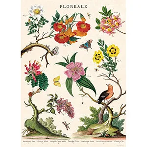 Vintage Floral & Botanical Posters