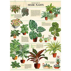 Vintage Floral & Botanical Posters