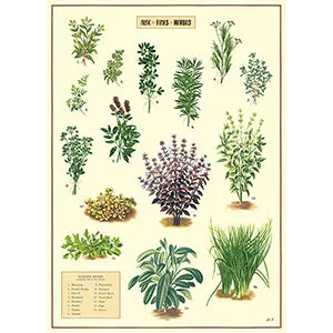 Vintage Floral & Botanical Posters