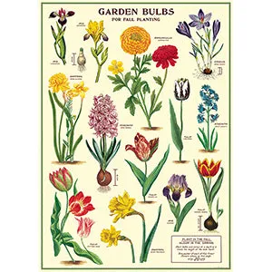 Vintage Floral & Botanical Posters